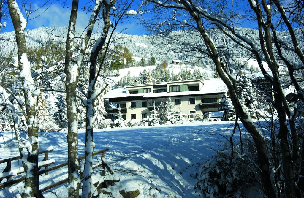 Ortners Mauerwirt - Leistbarer Luxus Διαμέρισμα Bad Kleinkirchheim Εξωτερικό φωτογραφία